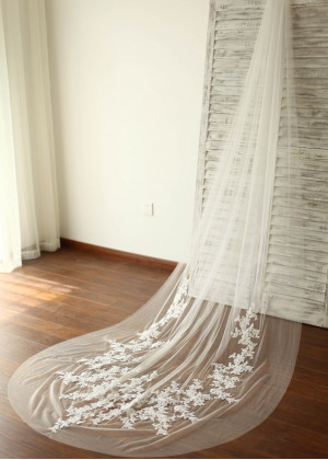 Cathedral Lace Bridal Wedding Veil